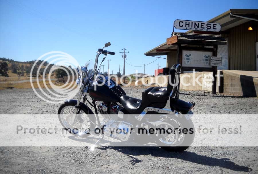 Retro king/queen seat Harley Davidson Forums